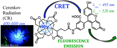 Graphical abstract: Inter/intramolecular Cherenkov radiation energy transfer (CRET) from a fluorophore with a built-in radionuclide