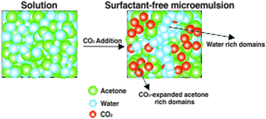 Graphical abstract: Surfactant-free CO2-based microemulsion-like systems