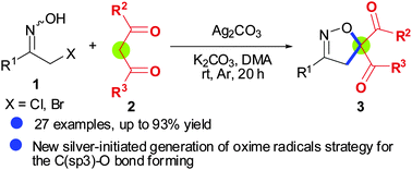 Graphical abstract: Silver-mediated radical cyclization: construction of Δ2-isoxazolines from α-halo ketoximes and 1,3-dicarbonyl compounds