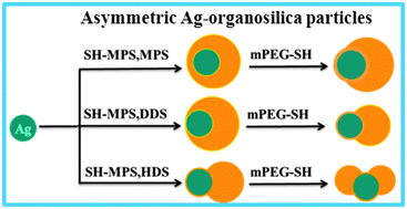Graphical abstract: Facile synthesis of asymmetric Ag–organosilica hybrid nanoparticles with tunable morphologies and optical properties