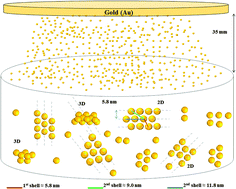 Graphical abstract: Self-assembly of gold nanoparticles on deep eutectic solvent (DES) surfaces