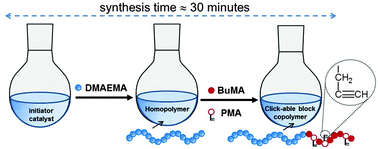 Graphical abstract: Well-defined “clickable” copolymers prepared via one-pot synthesis