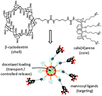 Graphical abstract: Glycoligand-targeted core–shell nanospheres with tunable drug release profiles from calixarene–cyclodextrin heterodimers