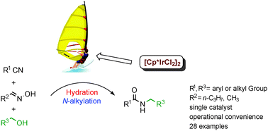 Graphical abstract: The direct synthesis of N-alkylated amides via a tandem hydration/N-alkylation reaction from nitriles, aldoximes and alcohols
