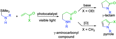 Graphical abstract: Synthesis of nitrogen heterocycles via α-aminoalkyl radicals generated from α-silyl secondary amines under visible light irradiation