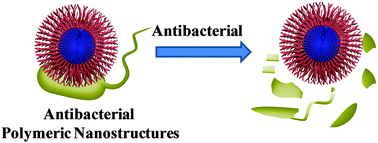 Graphical abstract: Antibacterial polymeric nanostructures for biomedical applications