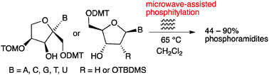 Graphical abstract: Microwave-assisted preparation of nucleoside-phosphoramidites