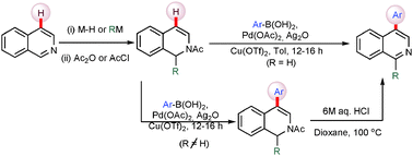 Graphical abstract: Palladium catalyzed, heteroatom-guided C–H functionalization in the synthesis of substituted isoquinolines and dihydroisoquinolines