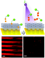 Graphical abstract: Optical control over bioactive ligands at supramolecular surfaces