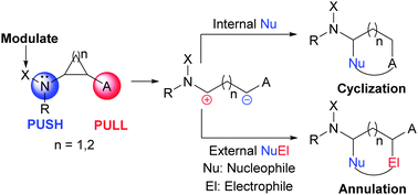 Graphical abstract: Cyclization and annulation reactions of nitrogen-substituted cyclopropanes and cyclobutanes