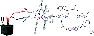 Graphical abstract: (Electro)catalytic C–C bond formation reaction with a redox-active cobalt complex