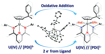 Graphical abstract: Utility of a redox-active pyridine(diimine) chelate in facilitating two electron oxidative addition chemistry at uranium