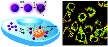 Graphical abstract: An H2O2-responsive nanocarrier for dual-release of platinum anticancer drugs and O2: controlled release and enhanced cytotoxicity against cisplatin resistant cancer cells
