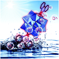 Graphical abstract: A hybrid polyoxometalate–organic molecular catalyst for visible light driven water oxidation