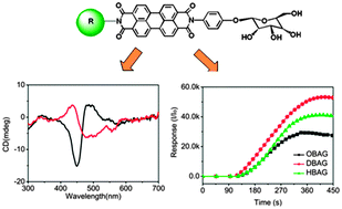 Graphical abstract: Modulating supramolecular helicity and electrical conductivity of perylene dyes through an achiral alkyl chain