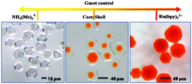Graphical abstract: Dynamically controlled one-pot synthesis of heterogeneous core–shell MOF single crystals using guest molecules