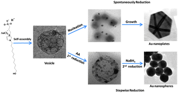 Graphical abstract: Zwitterionic vesicles with AuCl4− counterions as soft templates for the synthesis of gold nanoplates and nanospheres