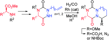 Graphical abstract: Diastereoselective synthesis of novel aza-diketopiperazines via a domino cyclohydrocarbonylation/addition process