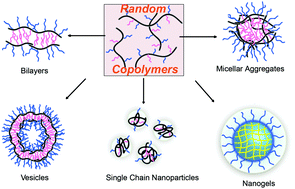 Graphical abstract: Self-assembly of random copolymers