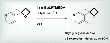 Graphical abstract: Highly regioselective lithiation of pyridines bearing an oxetane unit by n-butyllithium