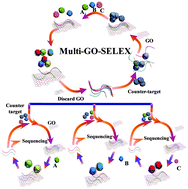 Graphical abstract: Multiple GO-SELEX for efficient screening of flexible aptamers