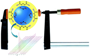 Graphical abstract: A molecular “screw-clamp”: accelerating click reactions in miniemulsions