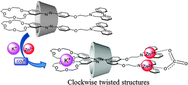 Graphical abstract: Guest-induced supramolecular chirality in a ditopic azoprobe–cyclodextrin complex in water