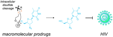 Graphical abstract: Disulfide reshuffling triggers the release of a thiol-free anti-HIV agent to make up fast-acting, potent macromolecular prodrugs
