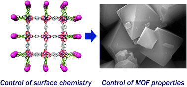 Graphical abstract: The surface chemistry of metal–organic frameworks