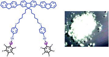Graphical abstract: A novel fluorene-based gold(i) complex with aggregate fluorescence change: a single-component white light-emitting luminophor