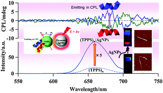 Graphical abstract: Plasmon resonance-enhanced circularly polarized luminescence of self-assembled meso-tetrakis(4-sulfonatophenyl)porphyrin–surfactant complexes in interaction with Ag nanoparticles