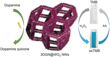 Graphical abstract: 3D graphene network@WO3 nanowire composites: a multifunctional colorimetric and electrochemical biosensing platform