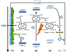 Graphical abstract: Integrating metalloporphycenes into p-type NiO-based dye-sensitized solar cells
