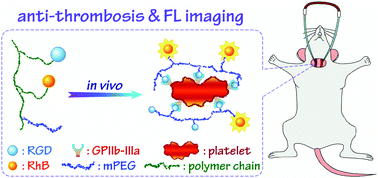 Graphical abstract: A modular designed copolymer with anti-thrombotic activity and imaging capability