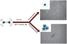 Graphical abstract: Facile synthesis of ultra-small rhenium nanoparticles