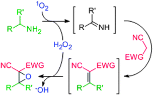 Graphical abstract: Consecutive oxygen-based oxidations convert amines to α-cyanoepoxides