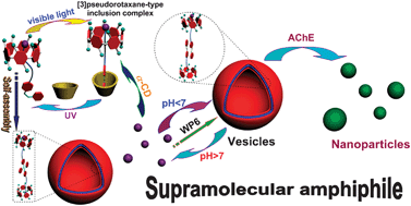 Graphical abstract: A triply-responsive pillar[6]arene-based supramolecular amphiphile for tunable formation of vesicles and controlled release