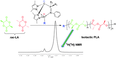 Graphical abstract: Isoselective ring-opening polymerization of rac-lactide initiated by achiral heteroscorpionate zwitterionic zinc complexes