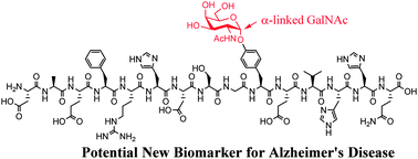 Graphical abstract: Synthesis aided structural determination of amyloid-β(1–15) glycopeptides, new biomarkers for Alzheimer's disease