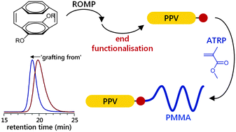 Graphical abstract: Monotelechelic poly(p-phenylenevinylene)s by ring opening metathesis polymerisation