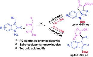 Graphical abstract: An organocatalytic domino Michael-alkylation reaction: highly enantioselective construction of spiro-cyclopentanoneoxindoles and tetronic acid scaffolds