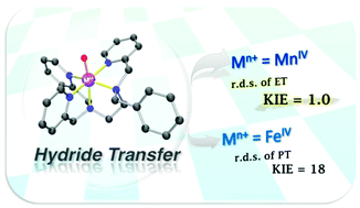 Graphical abstract: Hydride transfer from NADH analogues to a nonheme manganese(iv)–oxo complex via rate-determining electron transfer