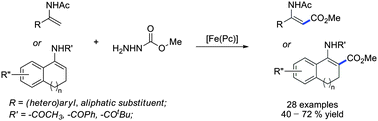 Graphical abstract: Preparation of highly substituted (β-acylamino)acrylates via iron-catalyzed alkoxycarbonylation of N-vinylacetamides with carbazates