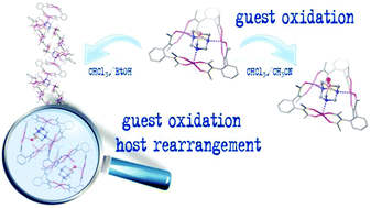 Graphical abstract: Post-assembly guest oxidation in a metallo-supramolecular host and structural rearrangement to a coordination polymer