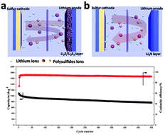 Graphical abstract: A lithium anode protection guided highly-stable lithium–sulfur battery