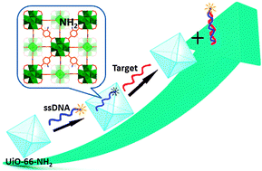 Graphical abstract: An amine-functionalized metal–organic framework as a sensing platform for DNA detection