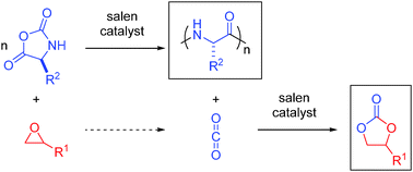 Graphical abstract: Tandem catalysis: a new approach to polypeptides and cyclic carbonates