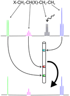 Graphical abstract: Disentangling scalar coupling patterns by real-time SERF NMR