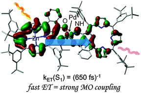 Graphical abstract: Ultrafast energy transfer in a Pd(ii)-bridged bisporphyrin dyad