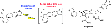Graphical abstract: Formal synthesis of kingianin A based upon a novel electrochemically-induced radical cation Diels–Alder reaction